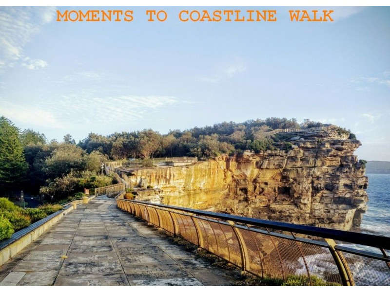 3/165 Old South Head Road, Vaucluse NSW 2030