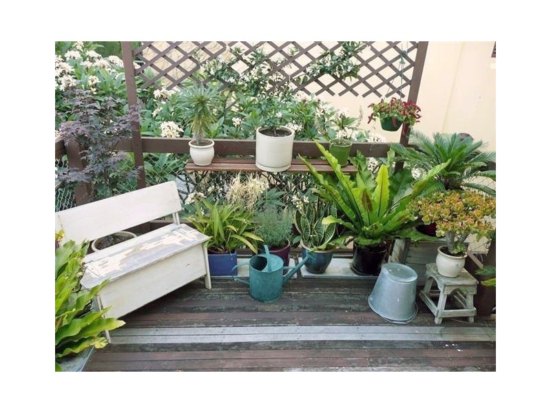 5/134 Brougham Street, Potts Point NSW 2011