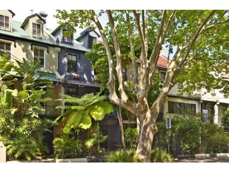 3/193 Albion St, Surry Hills NSW 2010