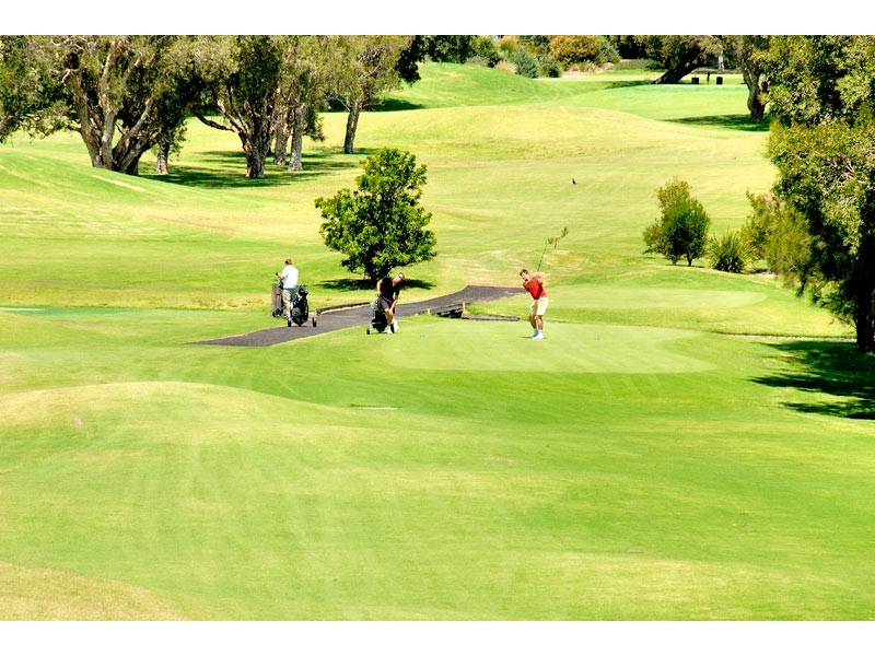 3/429 Old South Head Road, Rose Bay NSW 2029