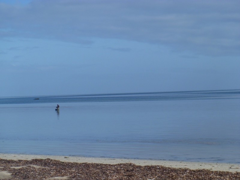 Lot 148 Shearwater Way, Thompson Beach SA 5501