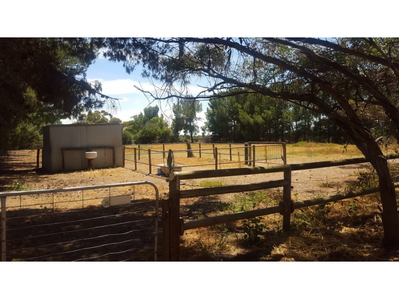 213 Dawkins Road, Lewiston SA 5501