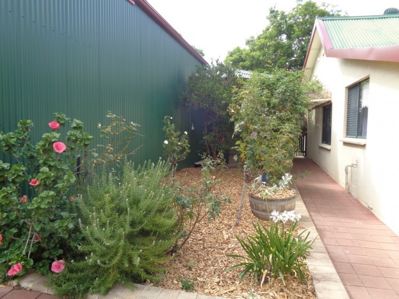 56 Eighth Street, Gawler South SA 5118