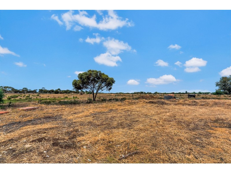 34 Elizabeth Street, Two Wells SA 5501