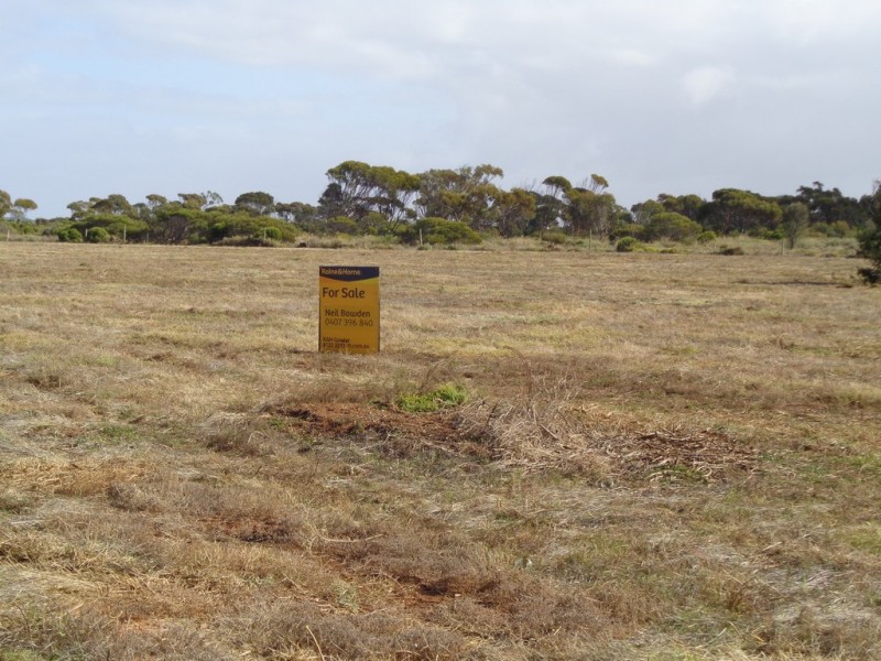 Section 243 Ruskin Road, Dublin SA 5501