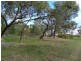 1736 Barabba Road, Barabba SA 5460