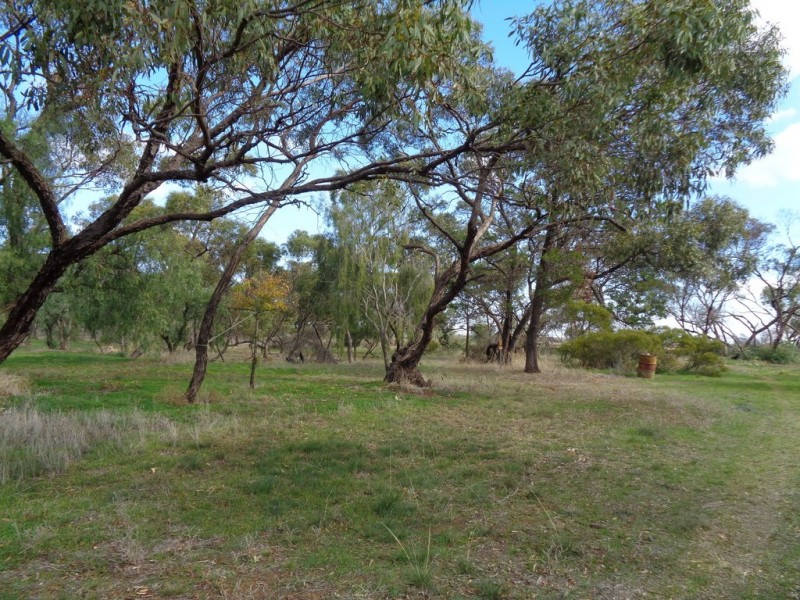 1736 Barabba Road, Barabba SA 5460