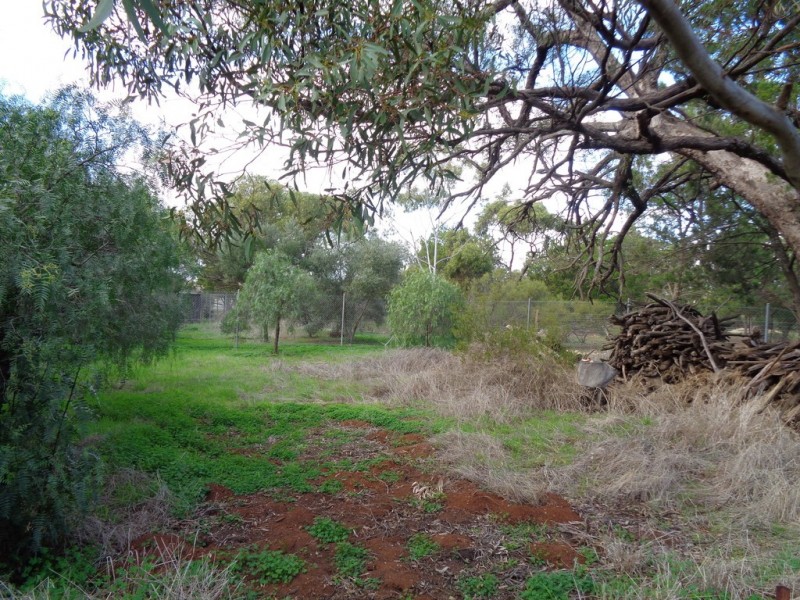 1736 Barabba Road, Barabba SA 5460