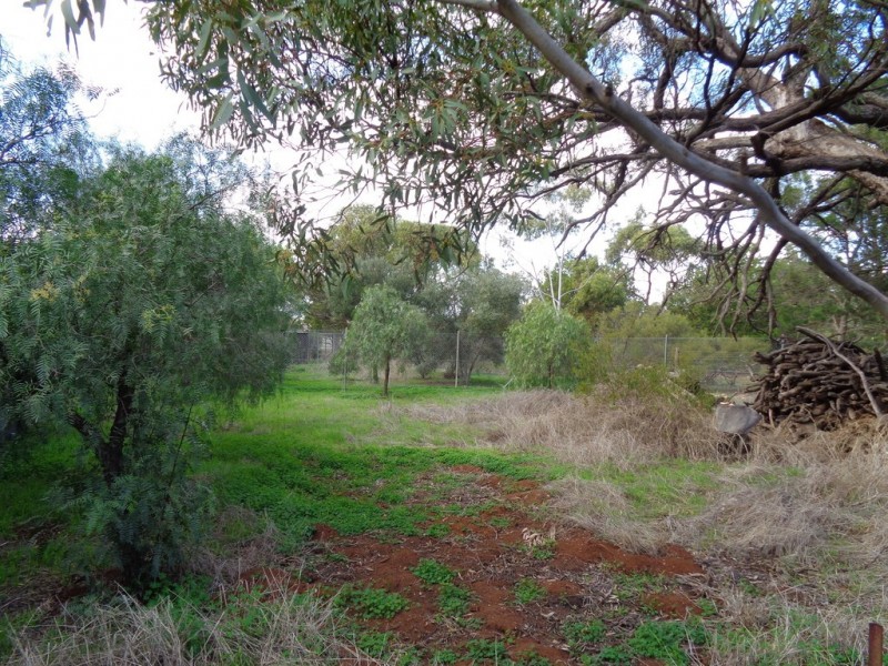 1736 Barabba Road, Barabba SA 5460