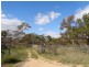 1736 Barabba Road, Barabba SA 5460