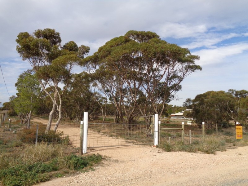 14 Hill Road, Mallala SA 5502