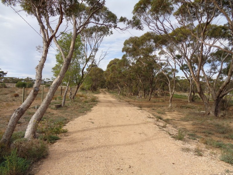 14 Hill Road, Mallala SA 5502