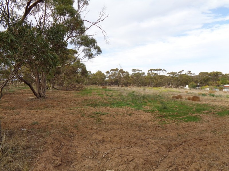 14 Hill Road, Mallala SA 5502