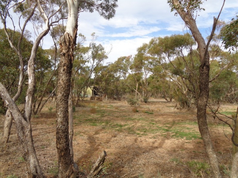 14 Hill Road, Mallala SA 5502