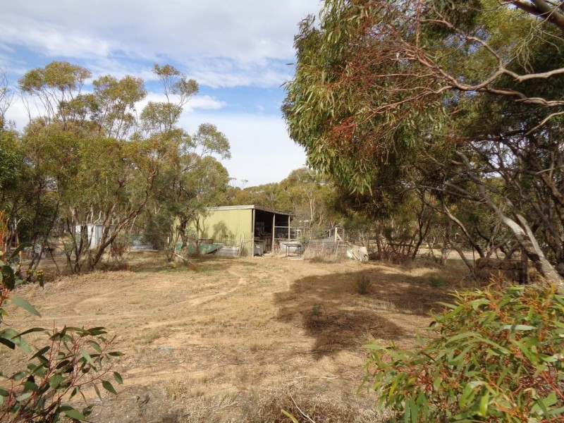 14 Hill Road, Mallala SA 5502