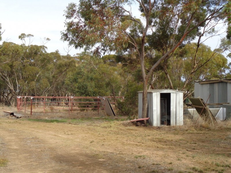 14 Hill Road, Mallala SA 5502