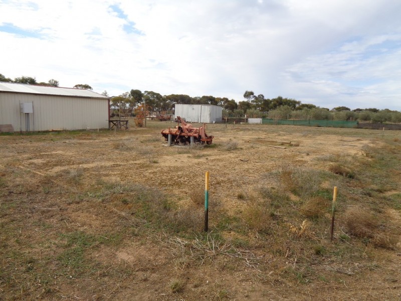 14 Hill Road, Mallala SA 5502