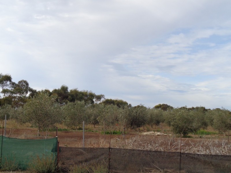 14 Hill Road, Mallala SA 5502
