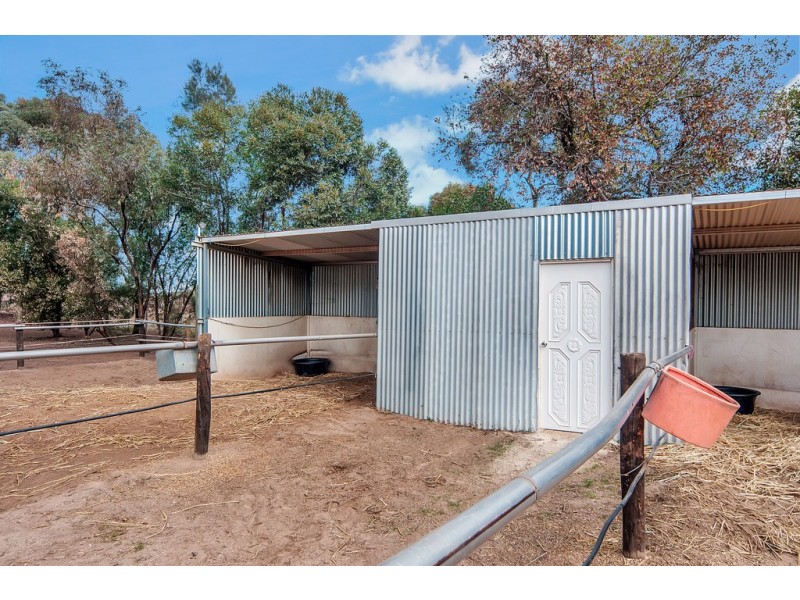 22 Gilks Road, Lewiston SA 5501