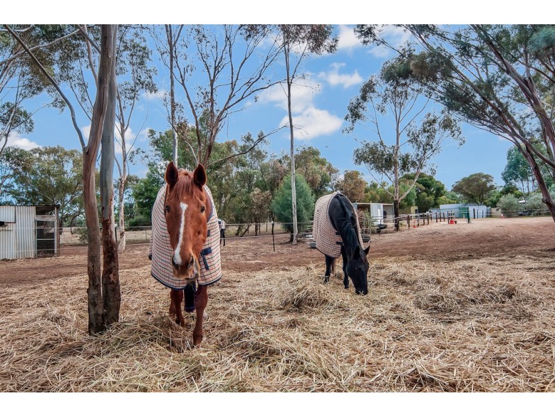 22 Gilks Road, Lewiston SA 5501