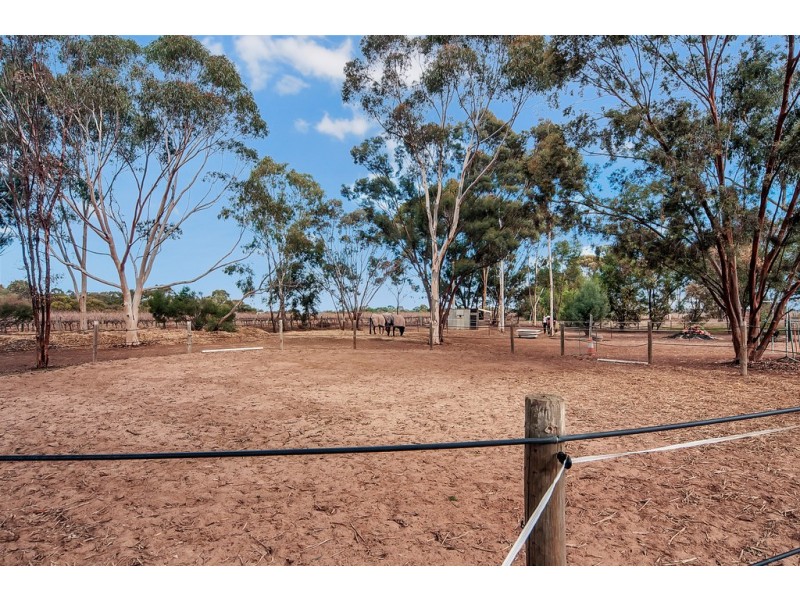 22 Gilks Road, Lewiston SA 5501