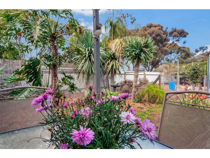 22 Gilks Road, Lewiston SA 5501