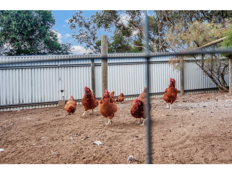 22 Gilks Road, Lewiston SA 5501