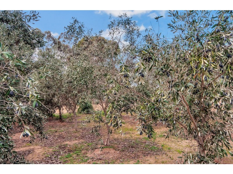 22 Gilks Road, Lewiston SA 5501