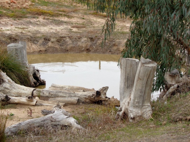 6 Coats Road, Two Wells SA 5501