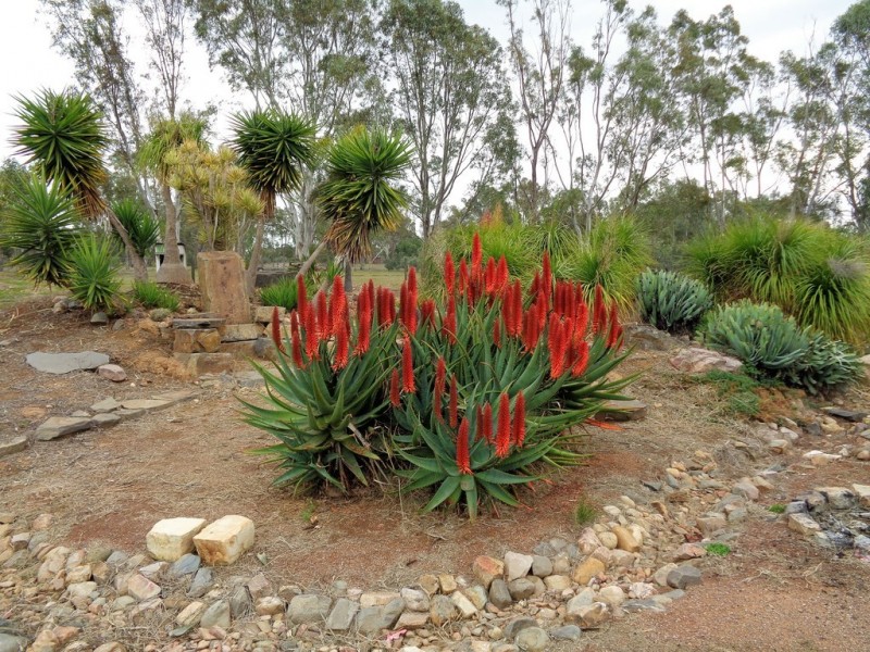 6 Coats Road, Two Wells SA 5501