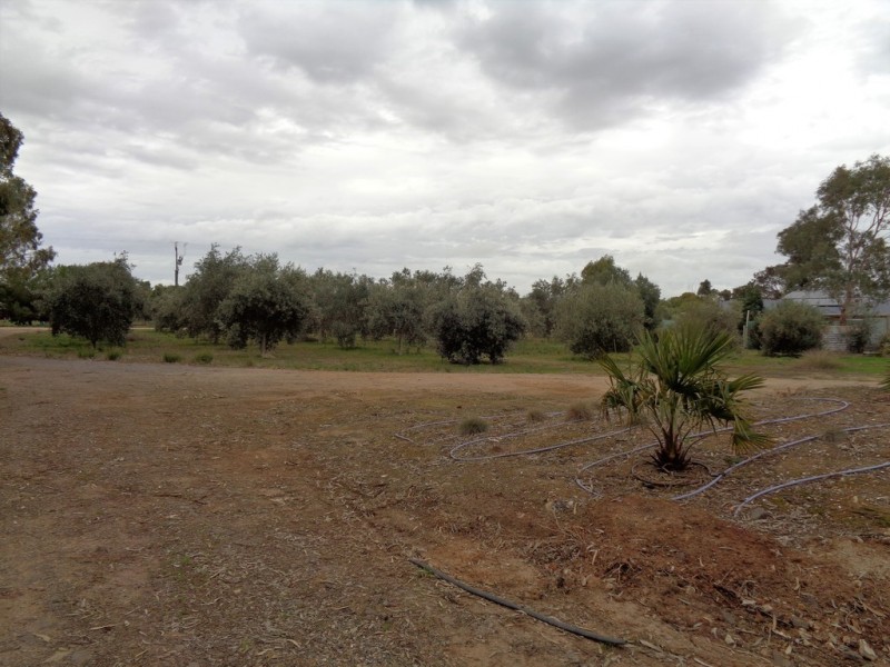 6 Coats Road, Two Wells SA 5501