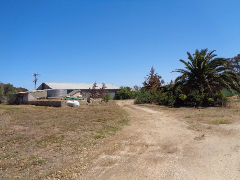 214 Shellgrit Road, Two Wells SA 5501