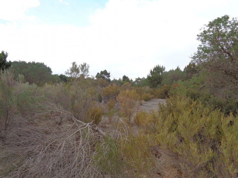 117 THE ESPLANADE, Thompson Beach SA 5501