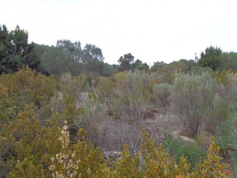 117 THE ESPLANADE, Thompson Beach SA 5501