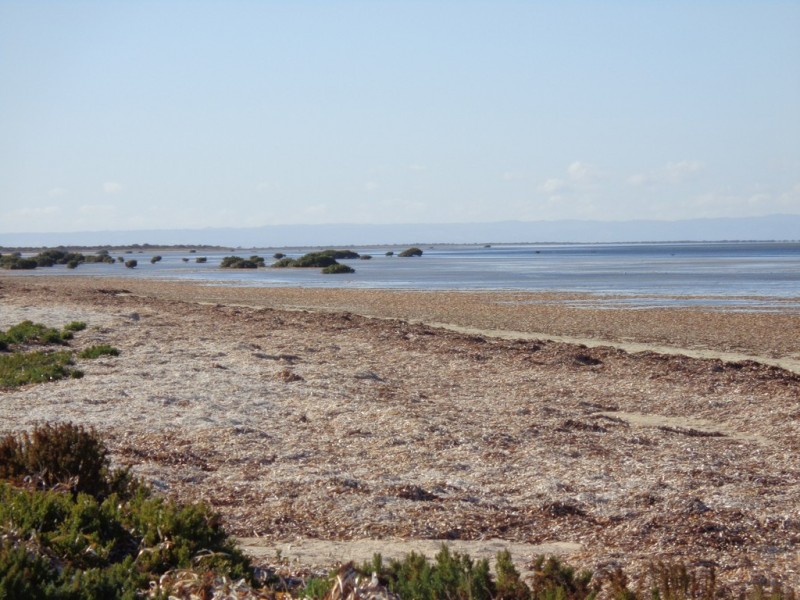 117 THE ESPLANADE, Thompson Beach SA 5501