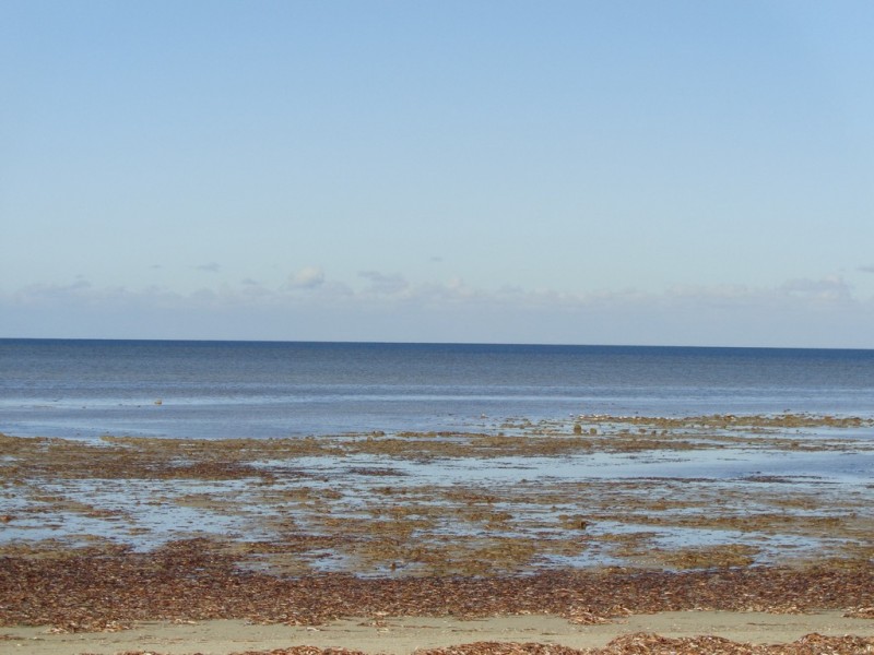 117 THE ESPLANADE, Thompson Beach SA 5501