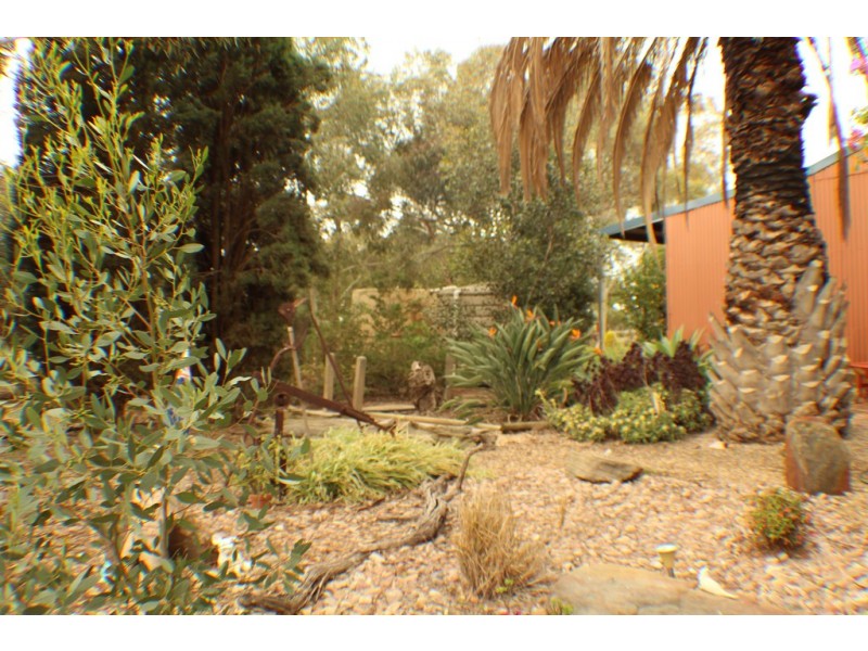 107 Bowyer Road, Owen SA 5460