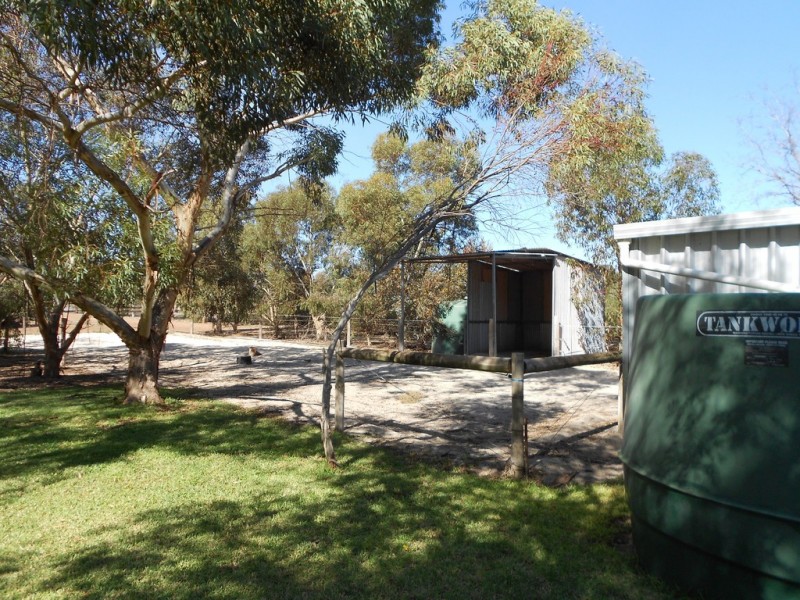 107 Bowyer Road, Owen SA 5460