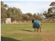 107 Bowyer Road, Owen SA 5460