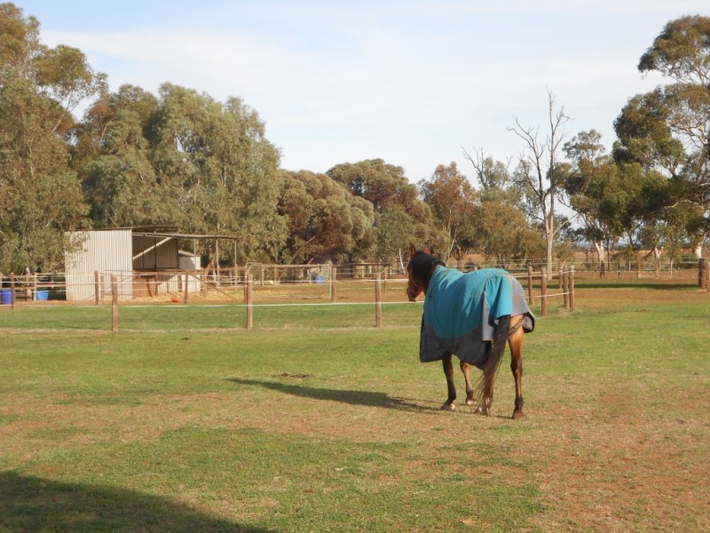 107 Bowyer Road, Owen SA 5460