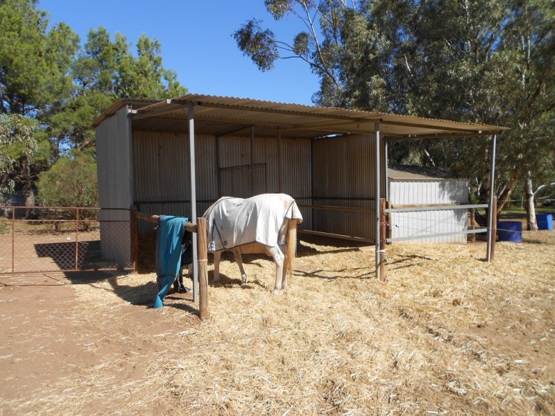 107 Bowyer Road, Owen SA 5460