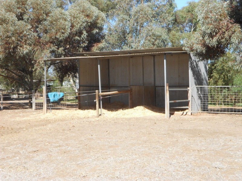 107 Bowyer Road, Owen SA 5460