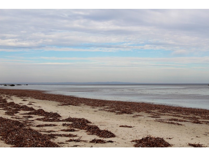 41 THE ESPLANADE, Thompson Beach SA 5501