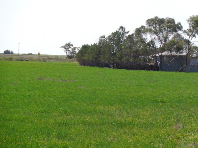 1206 Goldney Road Balaklava Via, Avon SA 5501