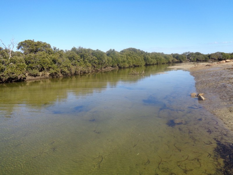 741 THE ESPLANADE, Middle Beach SA 5501