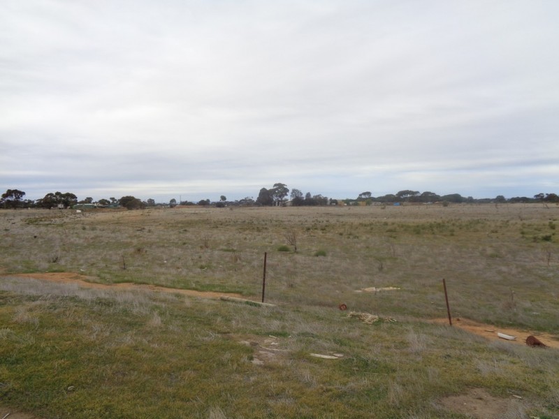 25 BUCKLAND PARK ROAD, Two Wells SA 5501