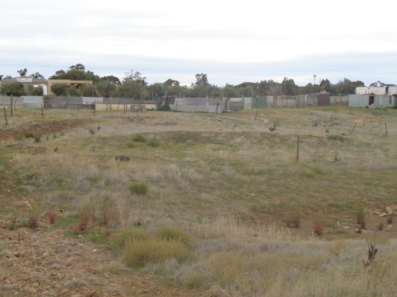 25 BUCKLAND PARK ROAD, Two Wells SA 5501