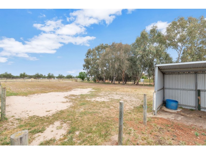 213 HAYMAN ROAD, Lewiston SA 5501