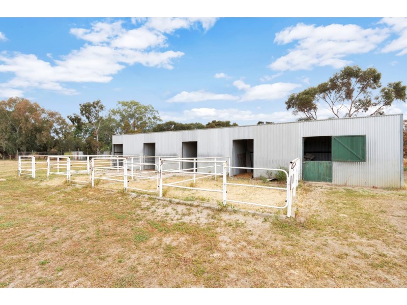 213 HAYMAN ROAD, Lewiston SA 5501