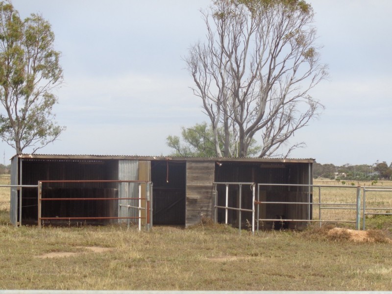 61 WILLIAMS ROAD, Two Wells SA 5501